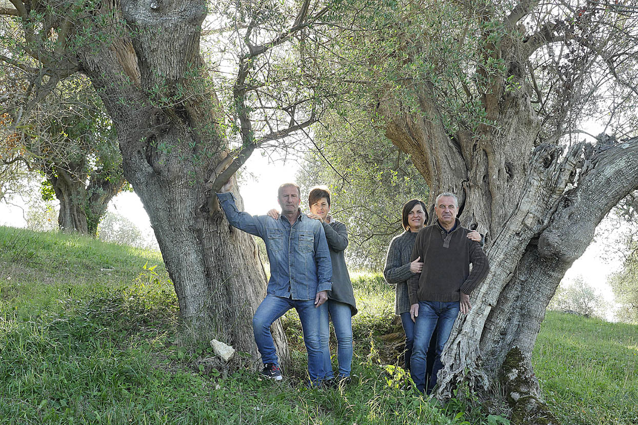 Cantina Il Falcone Suvereto - 1/0