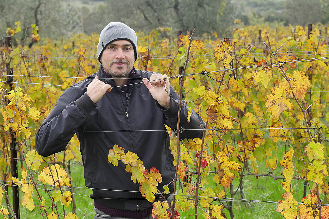 Cantina Rabitti Flavio Suvereto - 2/0