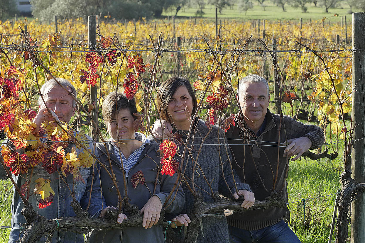 Cantina Il Falcone Suvereto - 2/0