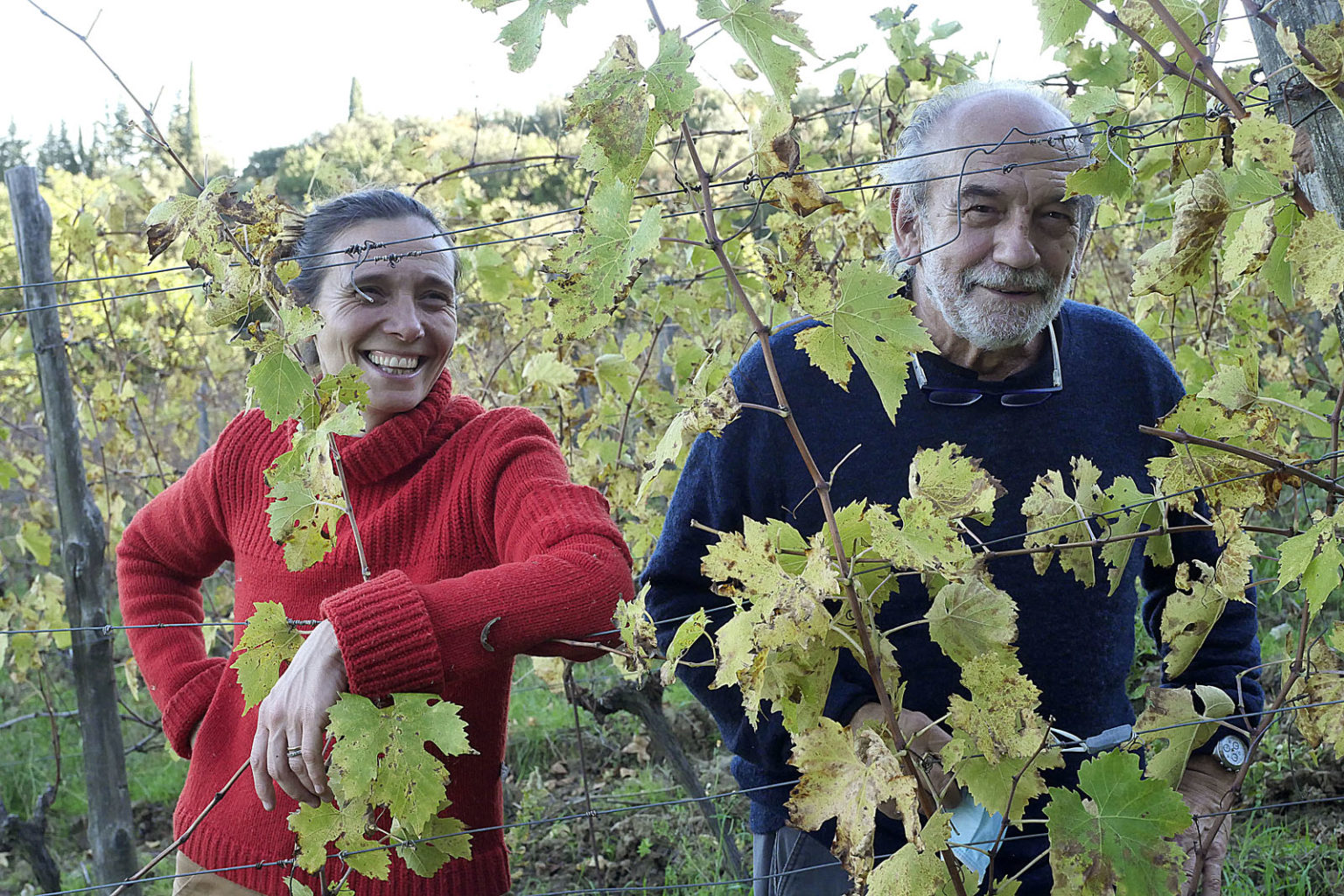 Cantina I Mandorli Suvereto - 2/0