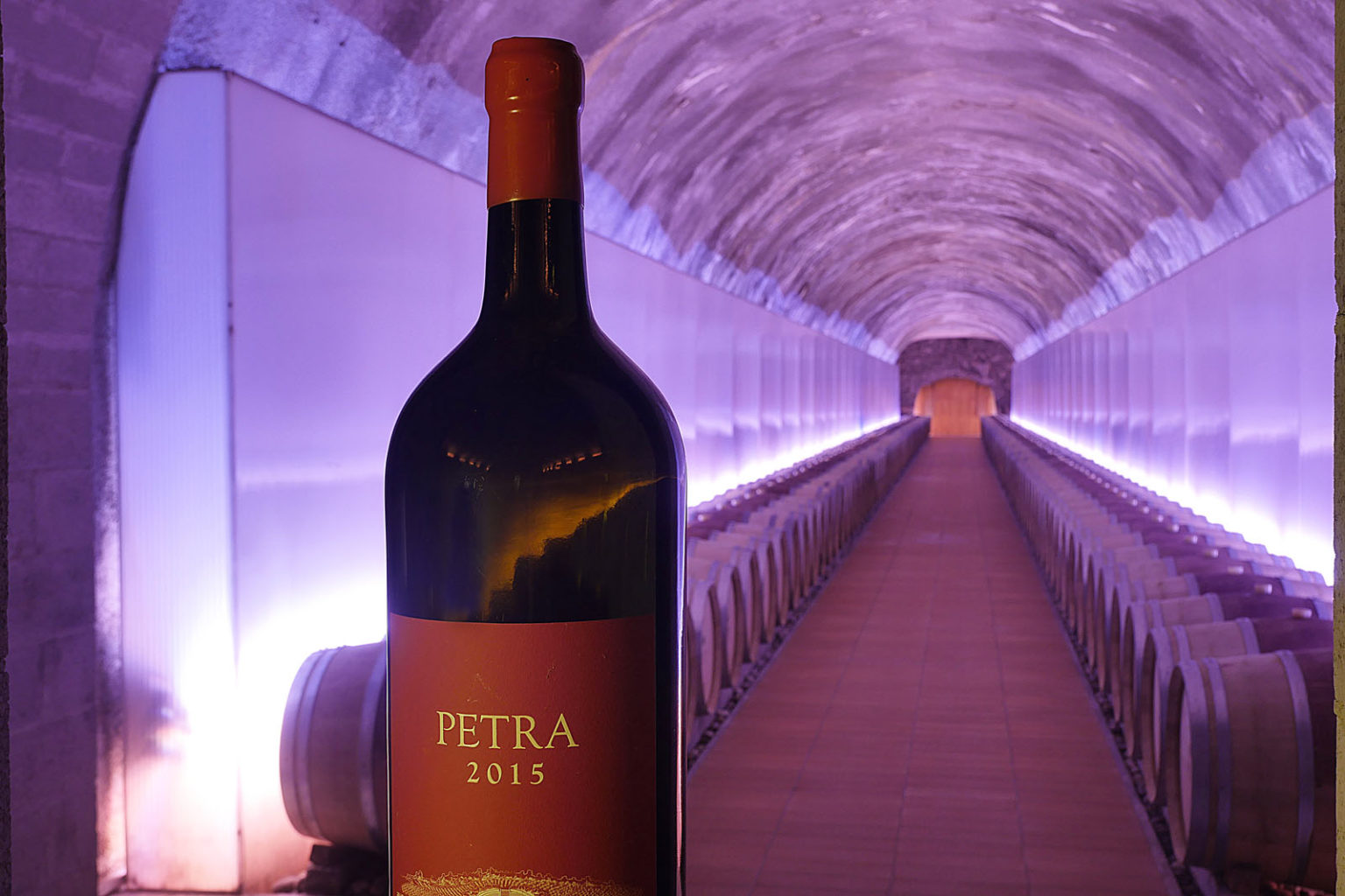 Cantina Petra Suvereto - 4/0