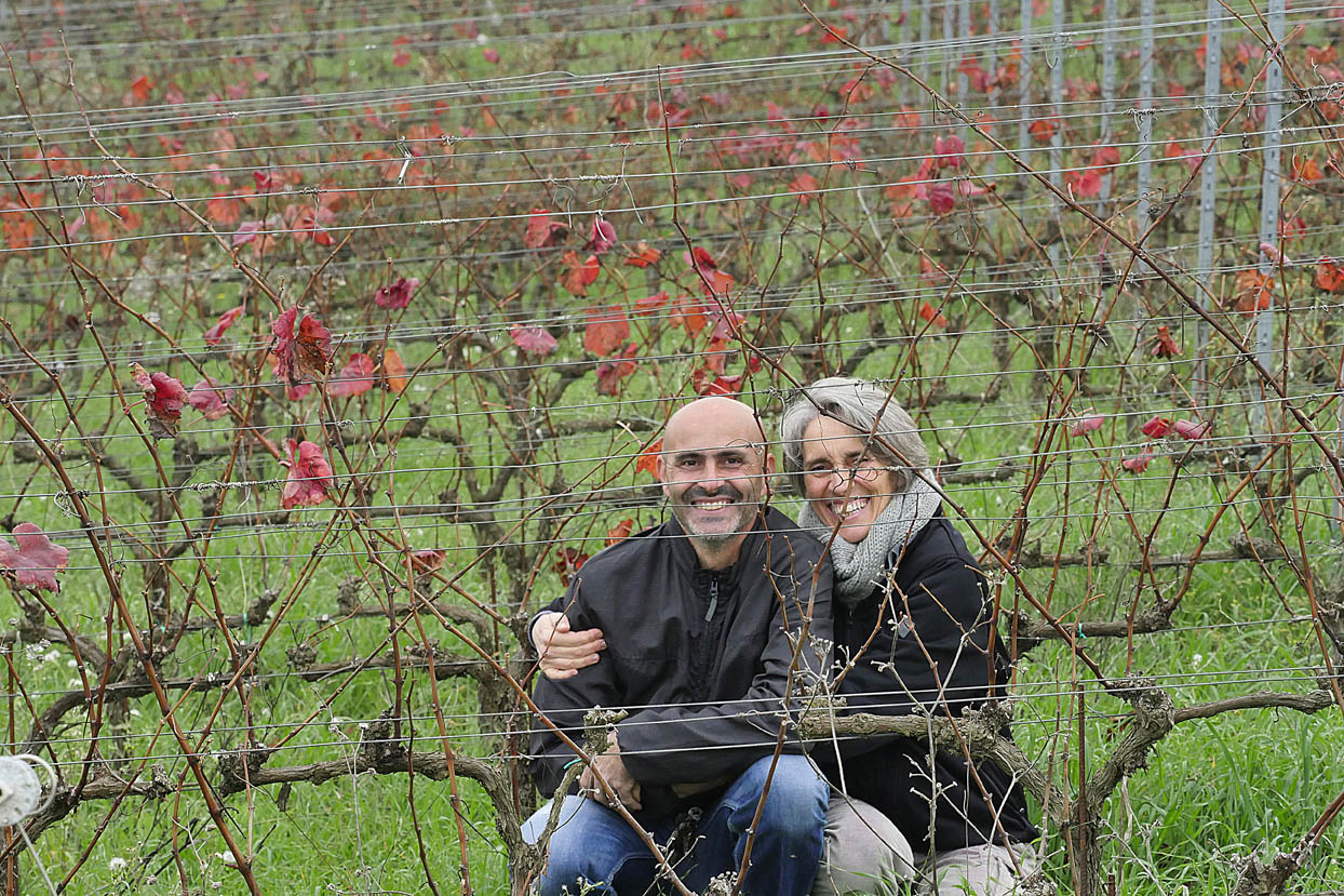 Cantina La Fralluca Suvereto - 1/0