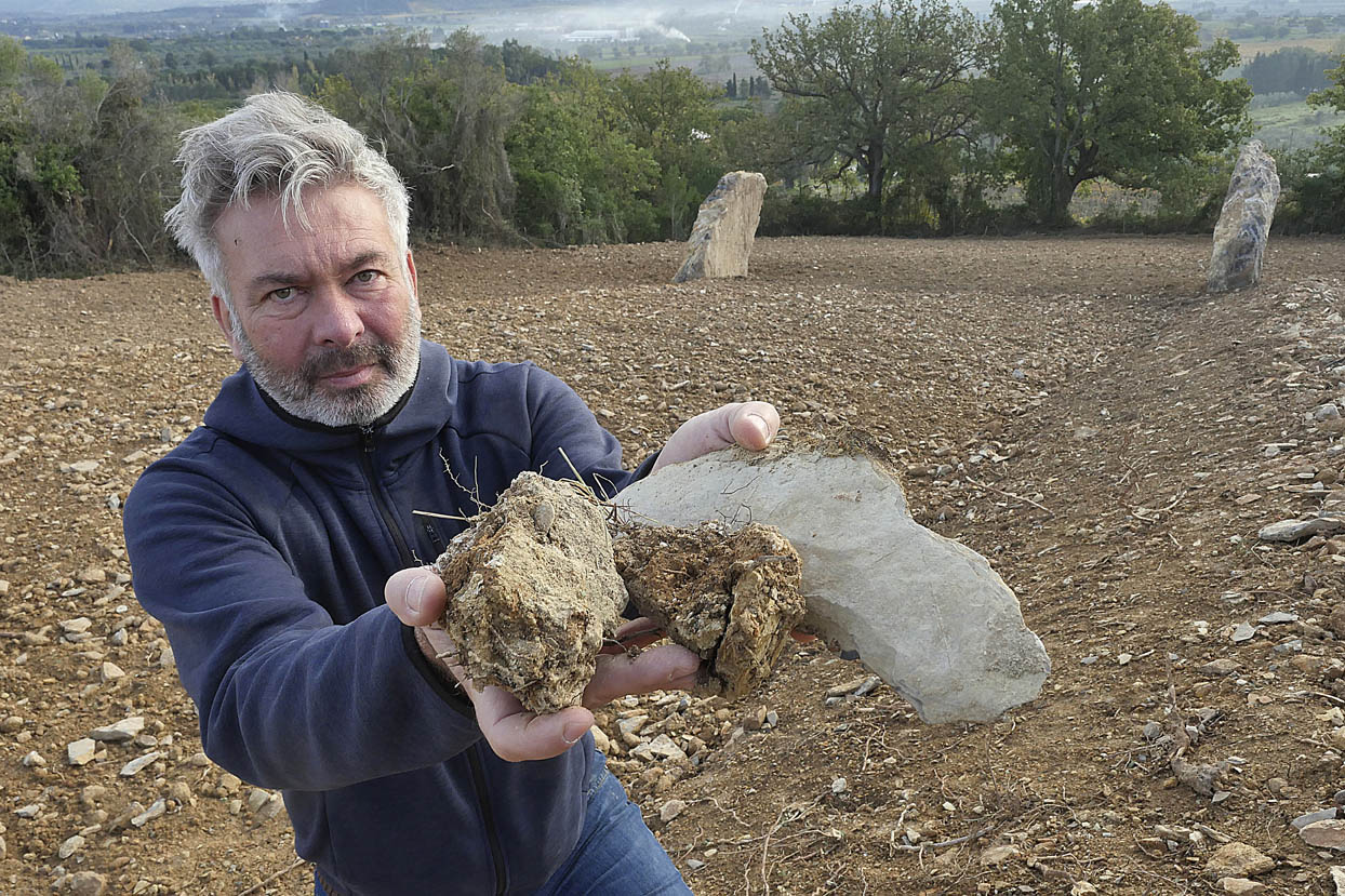 Cantina Montepeloso Suvereto - 5/0
