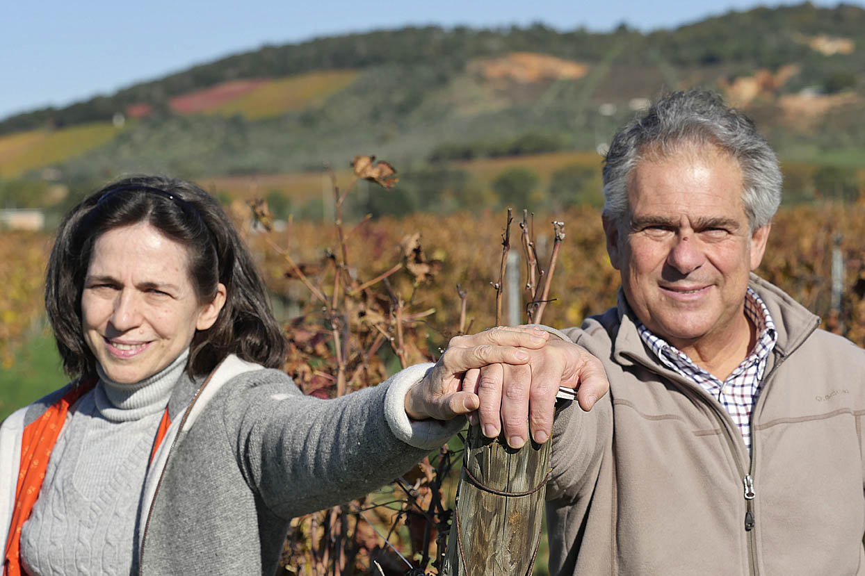 Cantina Sasso Orlando Suvereto - 2/0