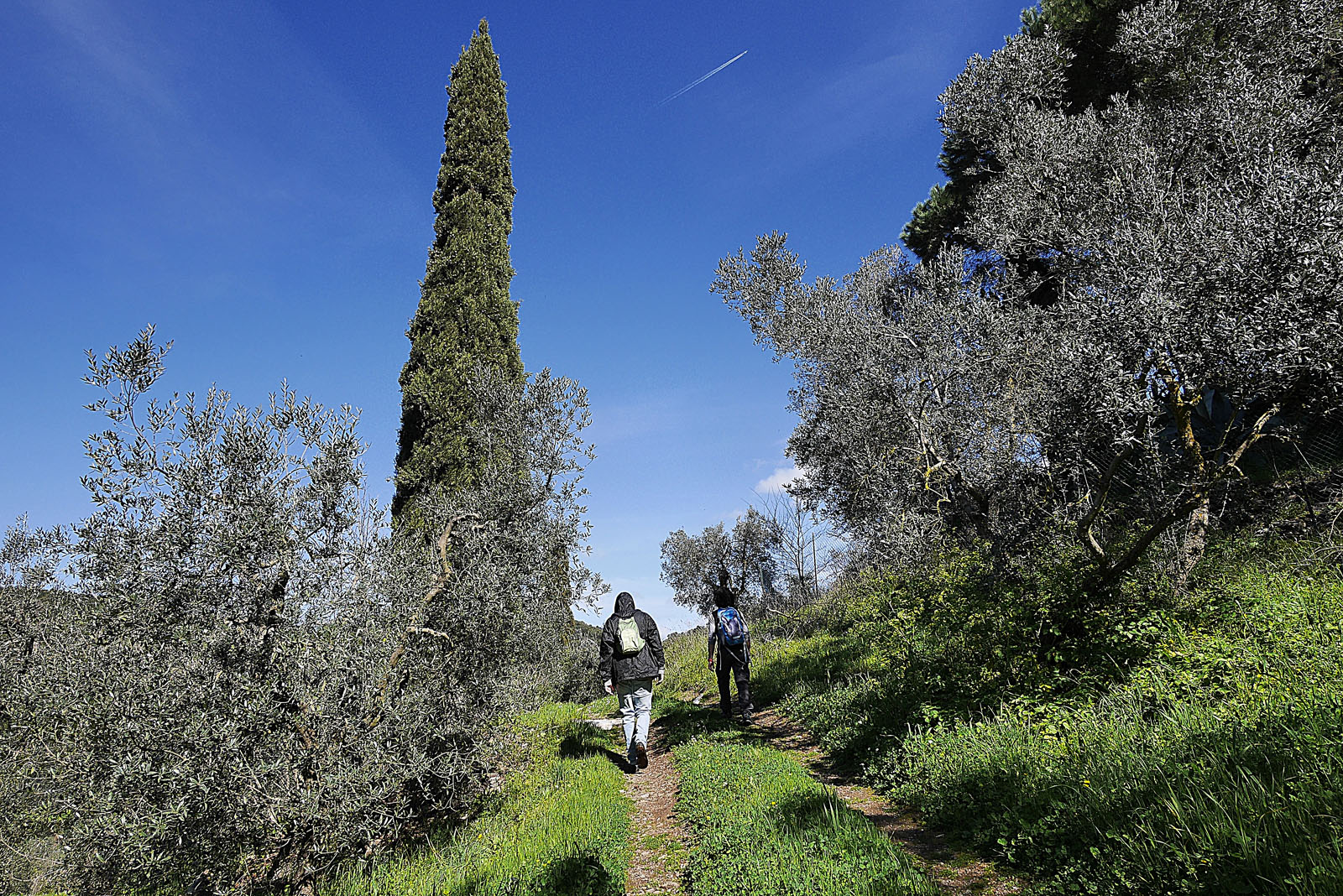 Trekking, Anello del Mercurio, Campiglia Marittima (LI), Toscana, Italia