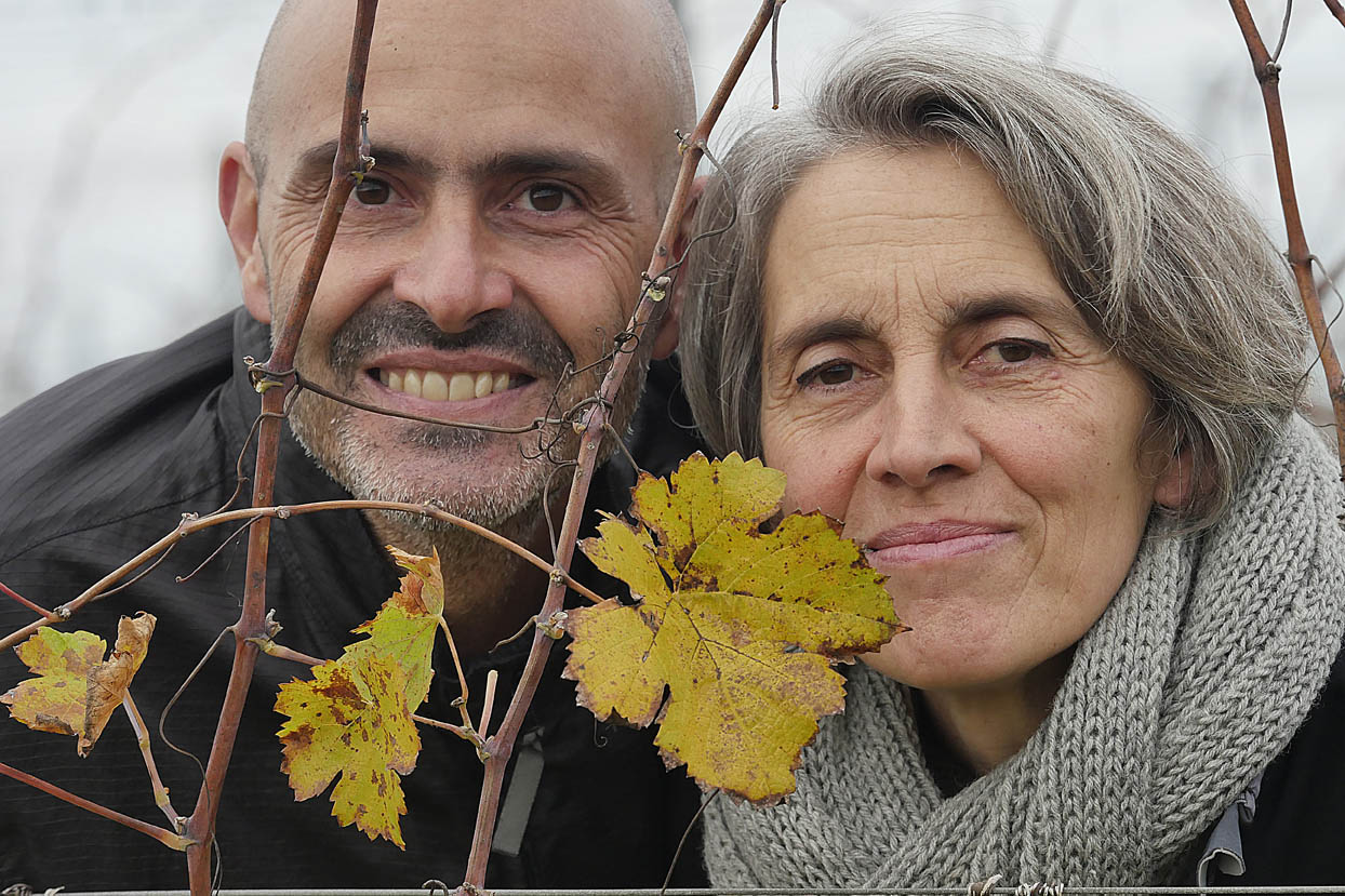 Cantina La Fralluca Suvereto - 2/0