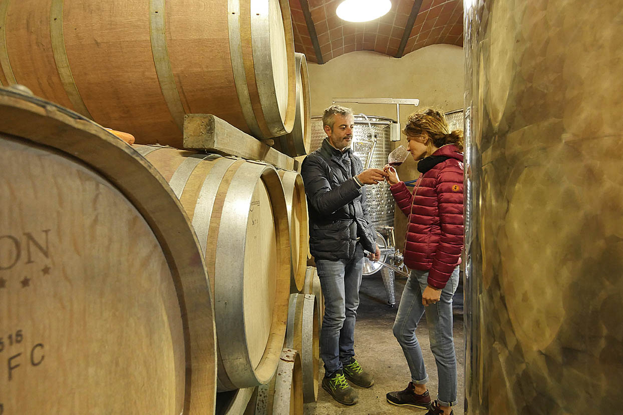 Cantina Renis Suvereto - 4/0