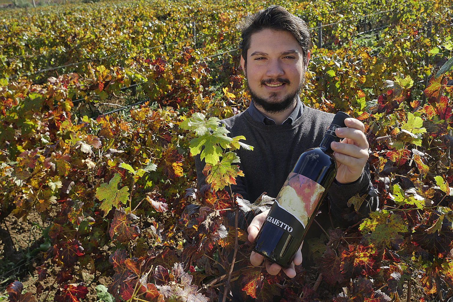 Cantina Terradonnà Suvereto - 3/0
