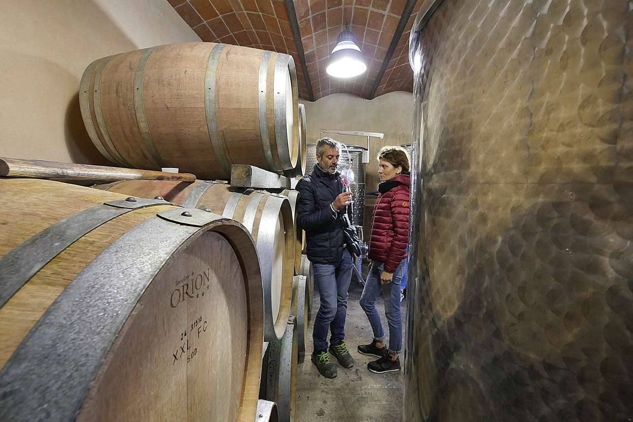 Cantina Renis Suvereto - 3/0