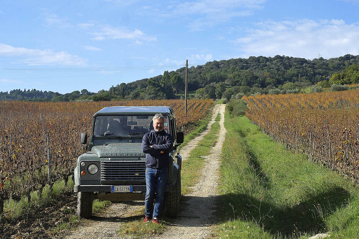 Cantina Montepeloso Suvereto - 2/0