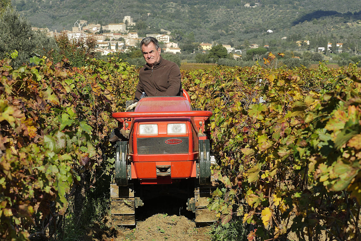 Cantina Terradonnà Suvereto - 2/0