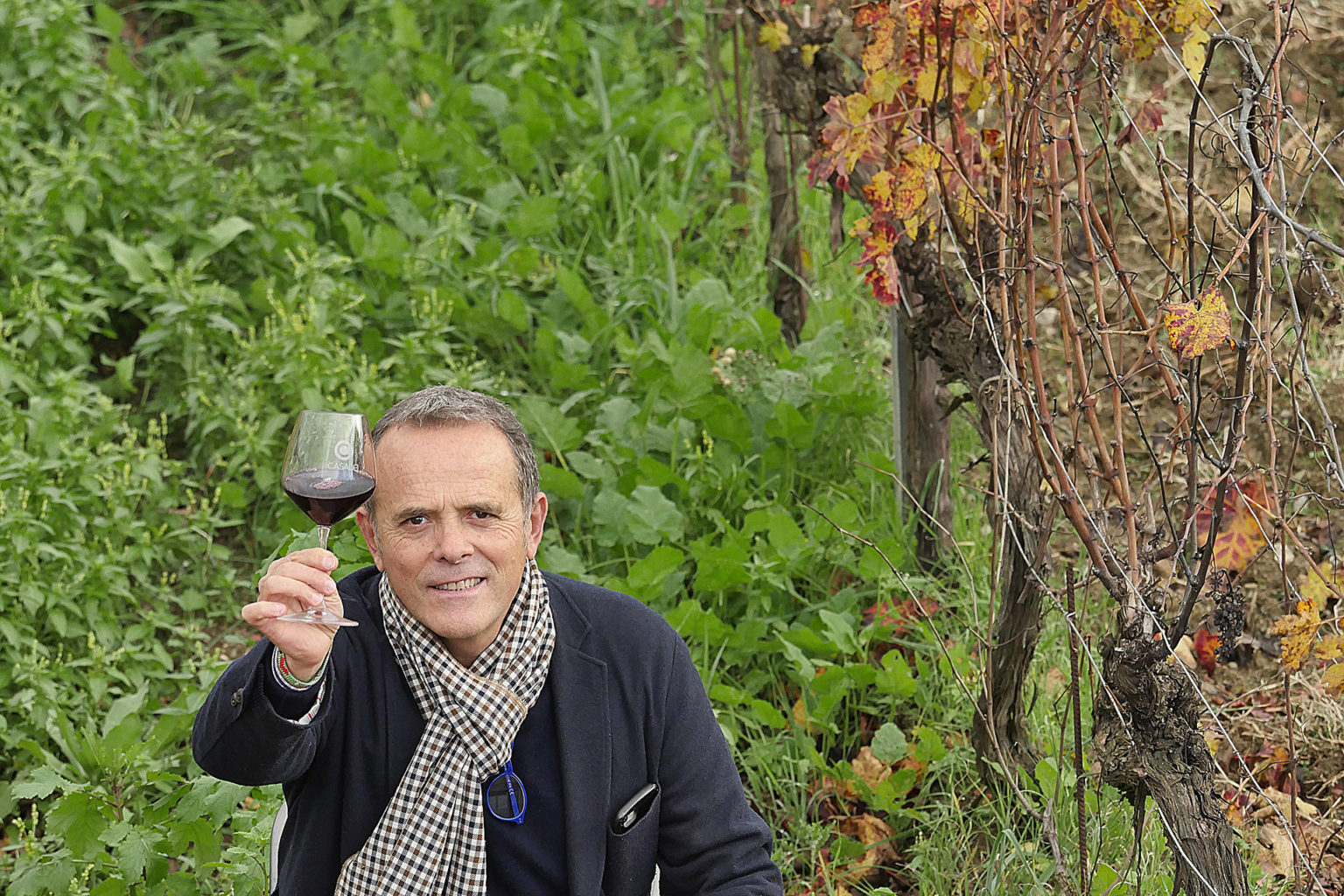 Cantina Tenuta Casadei Suvereto - 1/0