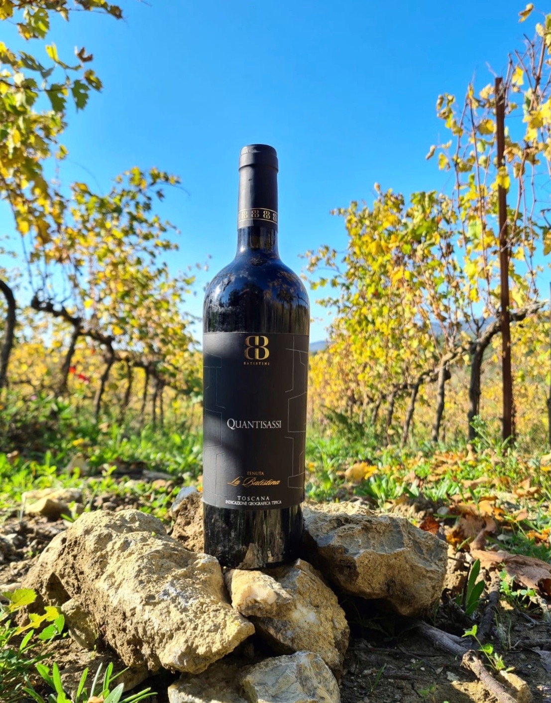 Cantina Tenuta La Batistina Suvereto - 3/0