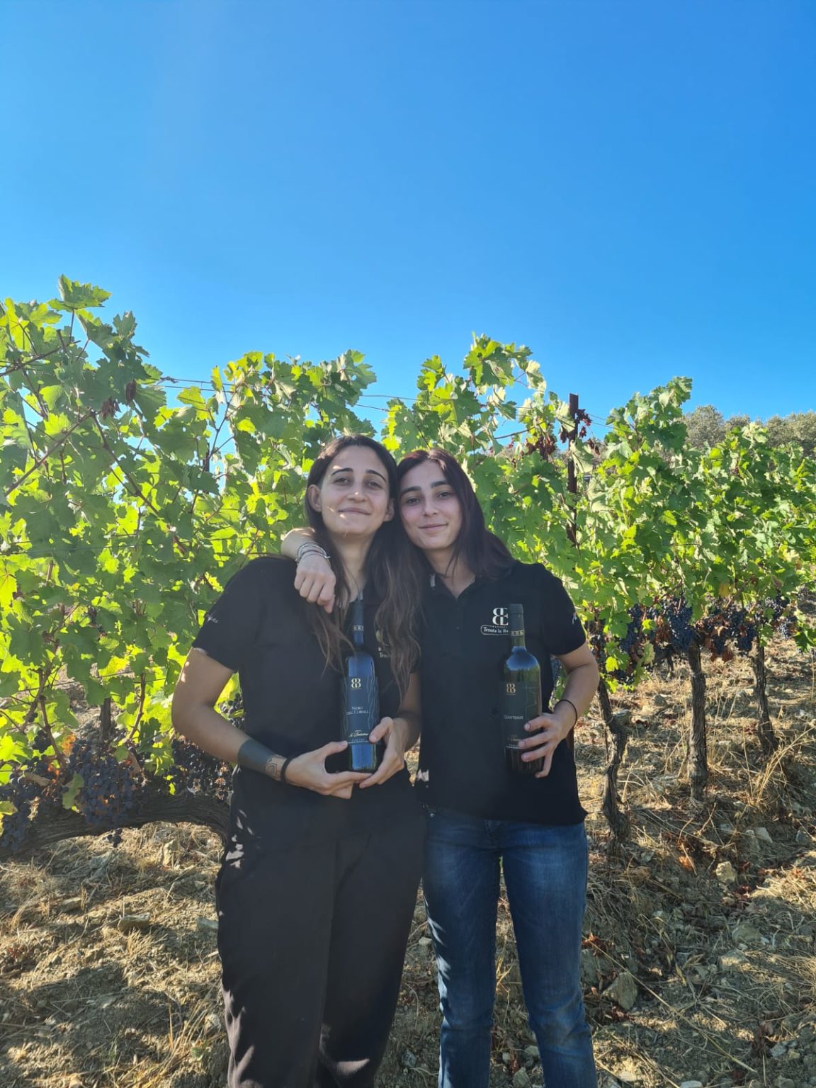 Cantina Tenuta La Batistina Suvereto - 1/0