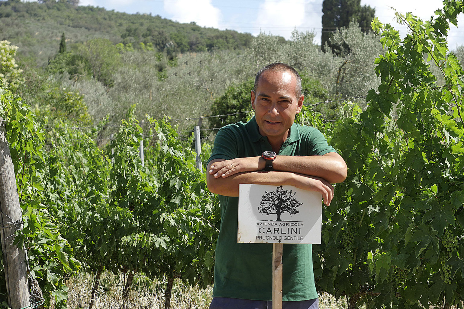 Cantina Carlini Lorenzo Suvereto - 3/0