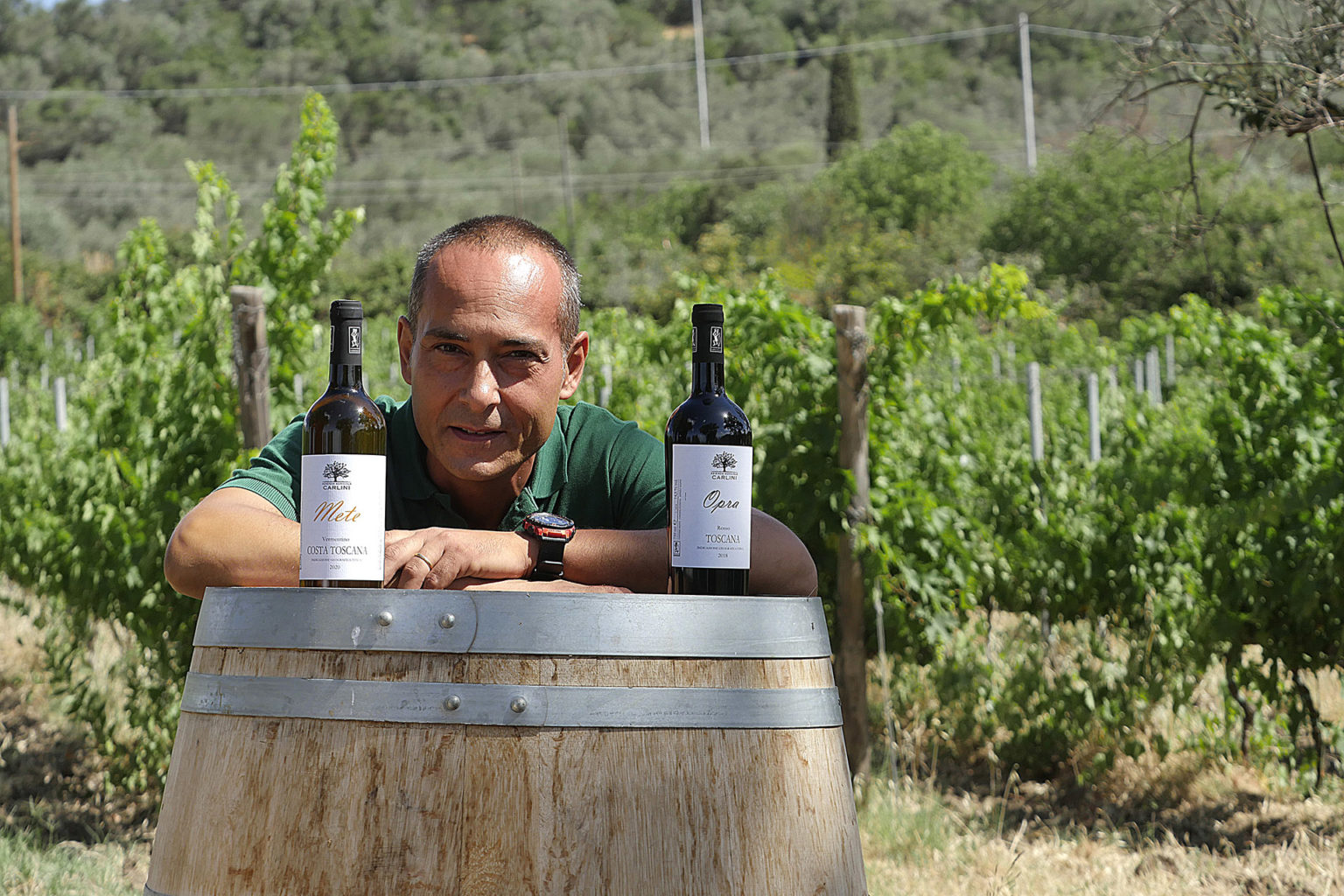 Cantina Carlini Lorenzo Suvereto - 1/0