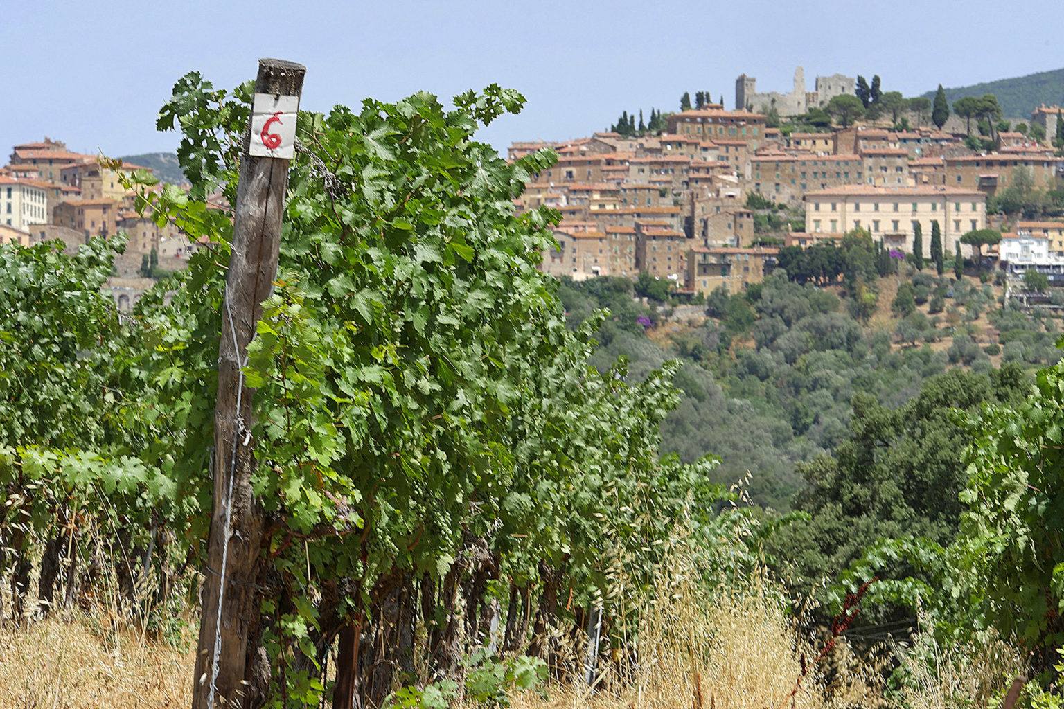 Cantina Monte Solaio Suvereto - 2/0