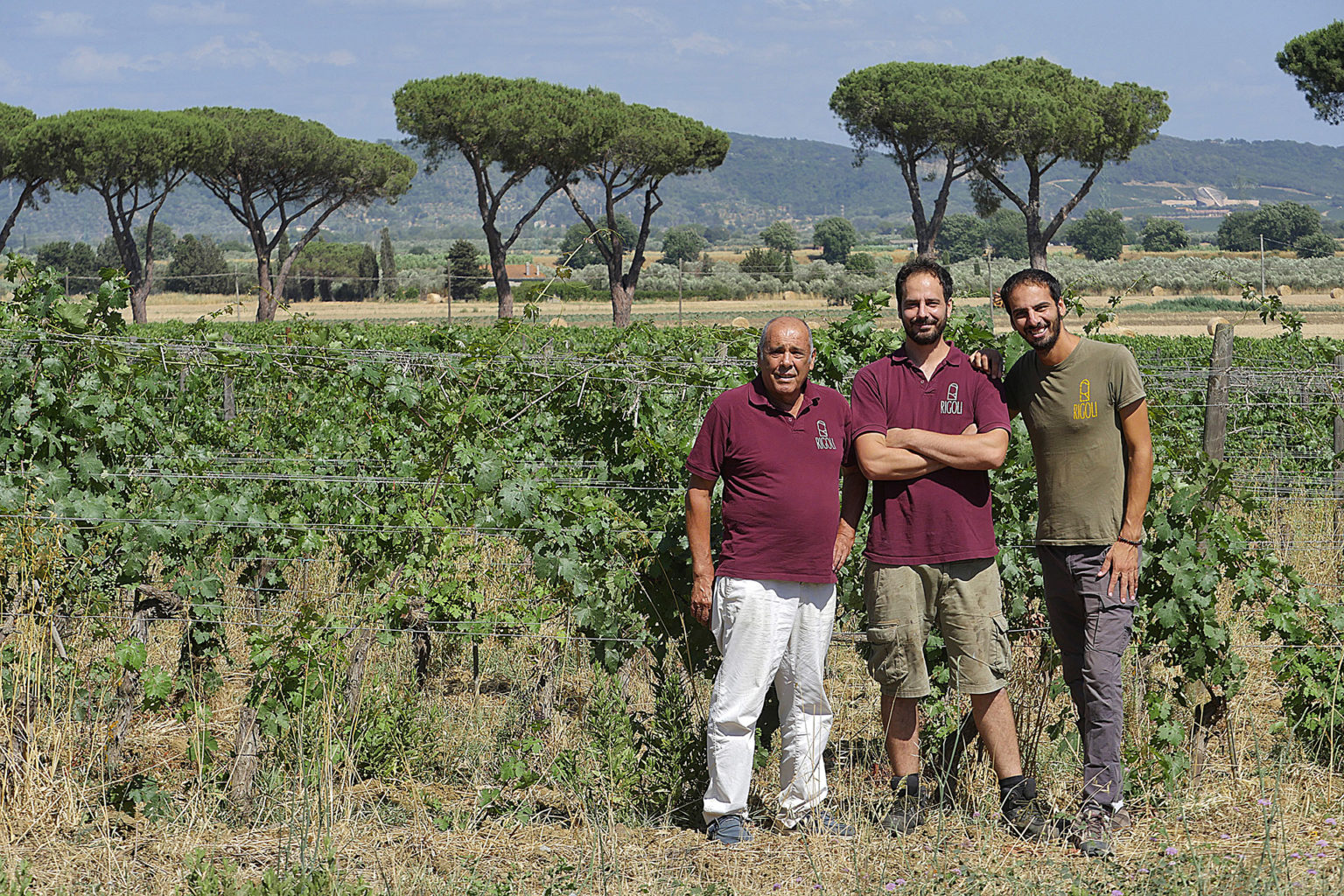 Cantina Rigoli Suvereto - 2/0