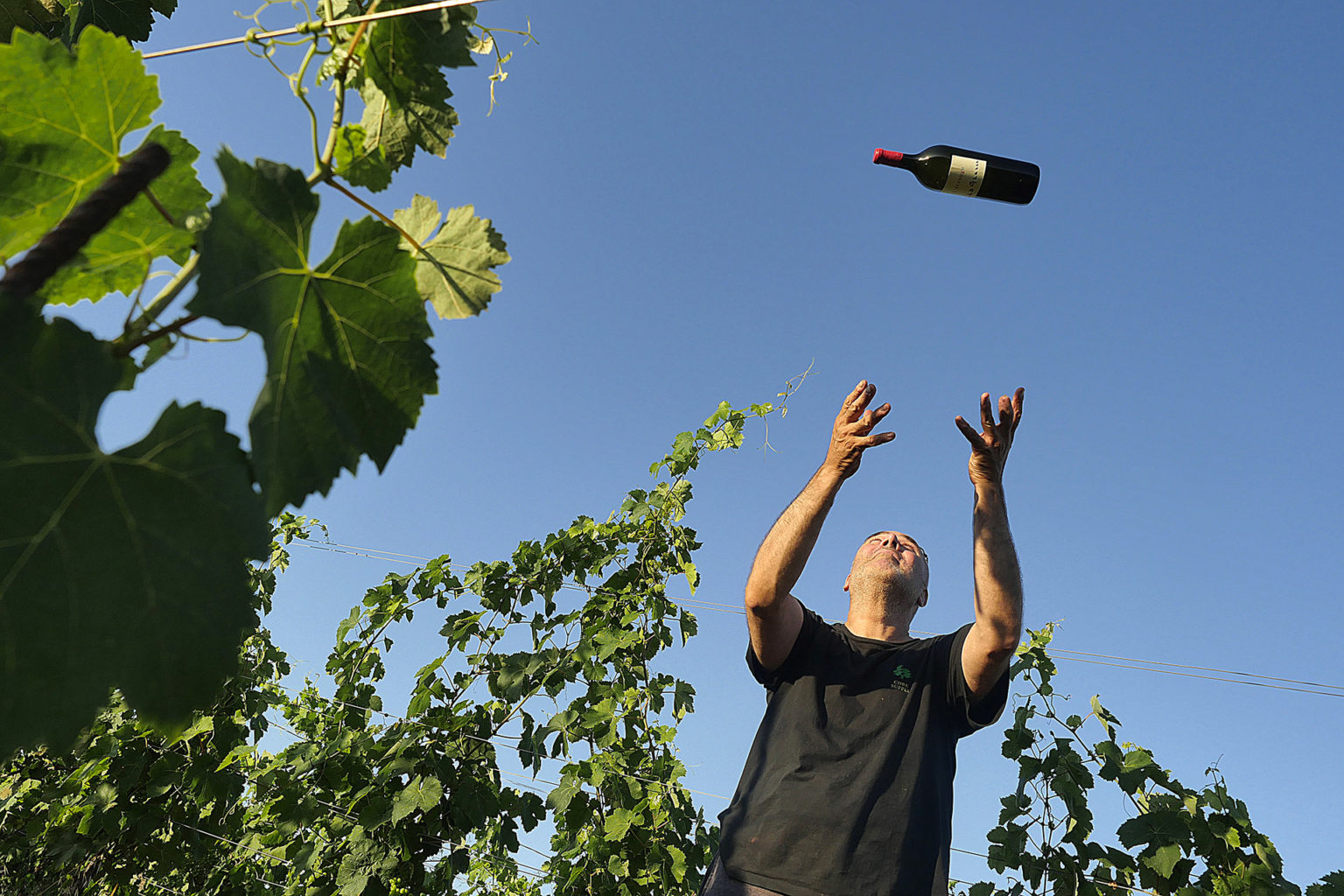 Cantina Sant’Agnese Suvereto - 1/0