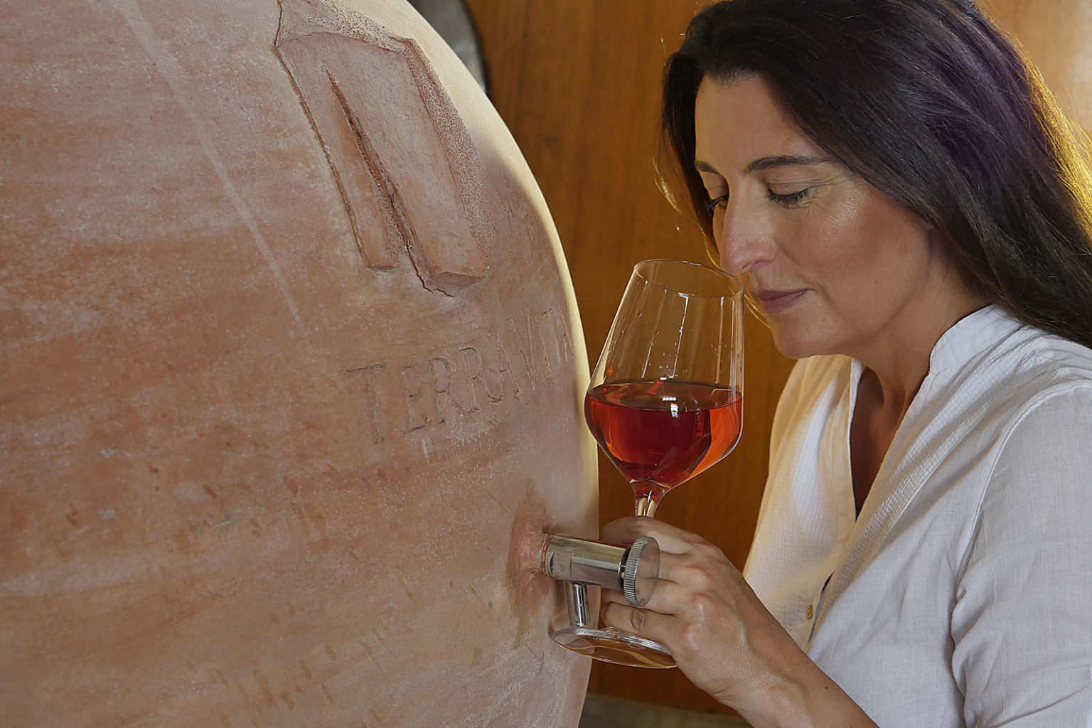 Cantina Terravita Suvereto - 2/0